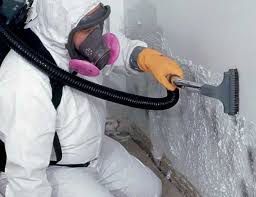 Best Post-Construction Mold Inspection  in Stevenson, AL